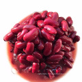 Canned red kidney beans